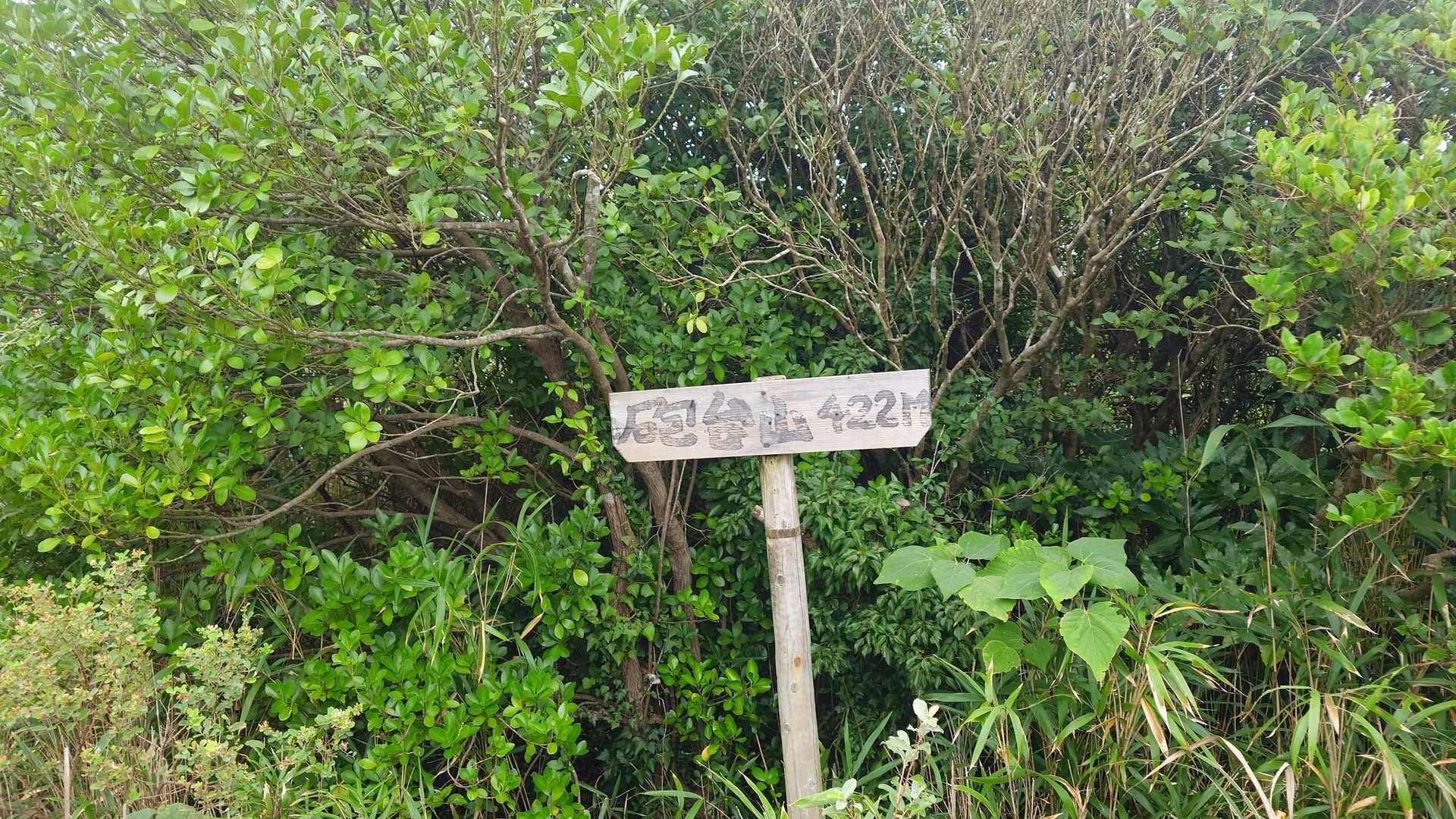 小文字山-足立山-砲台山 縦走コースの写真