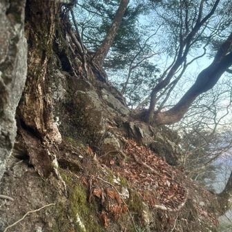 急な斜面の登りが連続