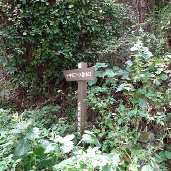 中央コース登山口まで降りてきました