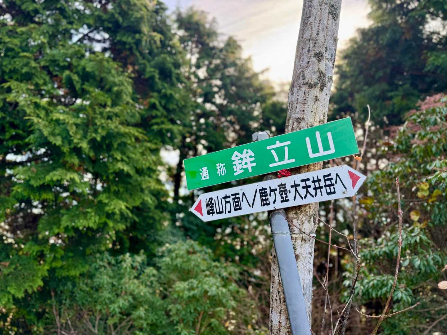 【鉾立山(ほこたてやま)】🔺
━━━━━━━━━━━━━━━

A. 村の子供たち