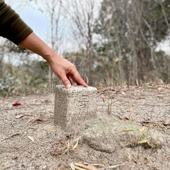 飯盛小山山頂にある四等三角点「二本松」