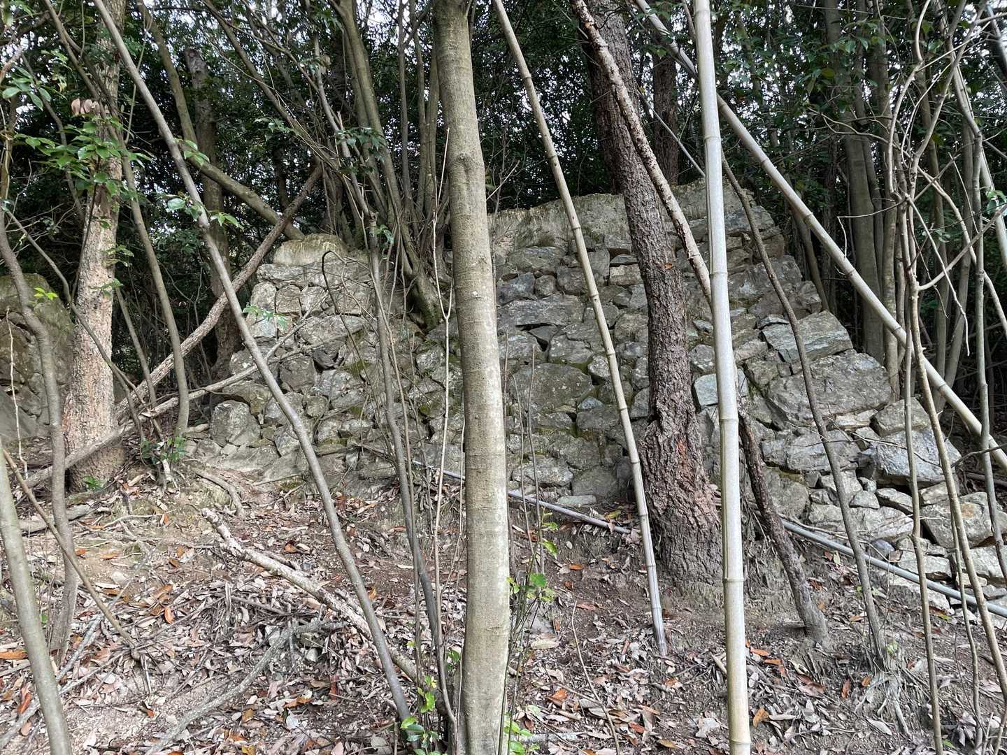 城壁🏯って感じ