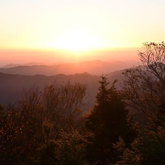 黄金色の光景