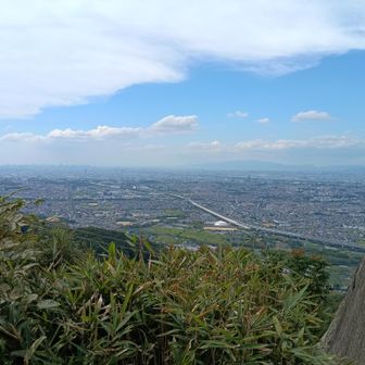見晴らし最高にゃ！