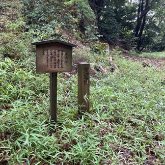 大堀切　昔は人力で山を掘ったのは凄いと感じました