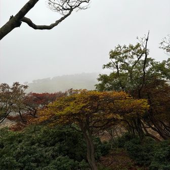 山頂はガスで見えない💦
爆風ゾーン突入前に、シェル着て暴風&防寒対策します🧤