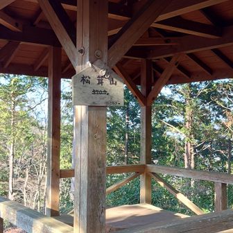 東屋にはなぜか松茸山と書かれています。