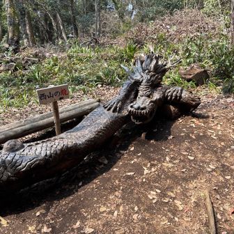 泰光寺山付近の龍の彫刻