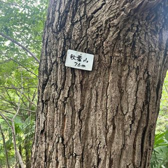 ありましたー🙌秋葉山
本日四つのピークを踏めました
