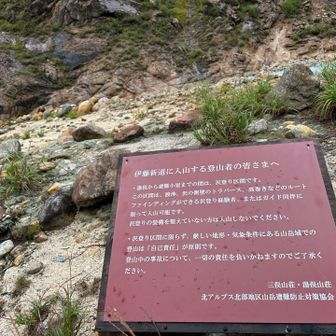 これが伊藤新道の入り口👀