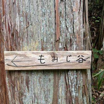 もみじ谷に🏔️