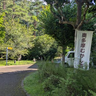 奥多摩むかし道のスタート。水と緑のふれあい会館の脇から。