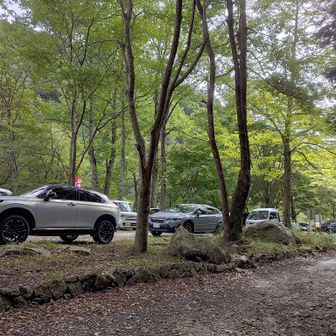 イン谷口駐車場に到着

比良駅が標高90メートルなのに対してイン谷口駐車場は標高318メートルあるので、駅からここまで歩くだけでもまあまあ疲れます😅
イン谷口へのバス路線が廃止されたのは痛い・・
