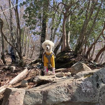 だいぶん下ってきた