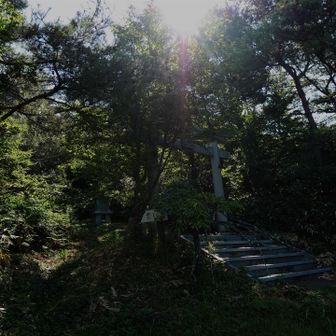 意外と気温が低くて涼しいのです