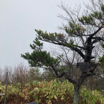 山頂からの景色は真っ白〜。
これが、ホントのホワイトクリスマスかいな^_^
でも、メリークリスマス！尖山さん^_^