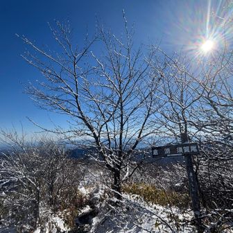 癒されまくって
下山ー♪