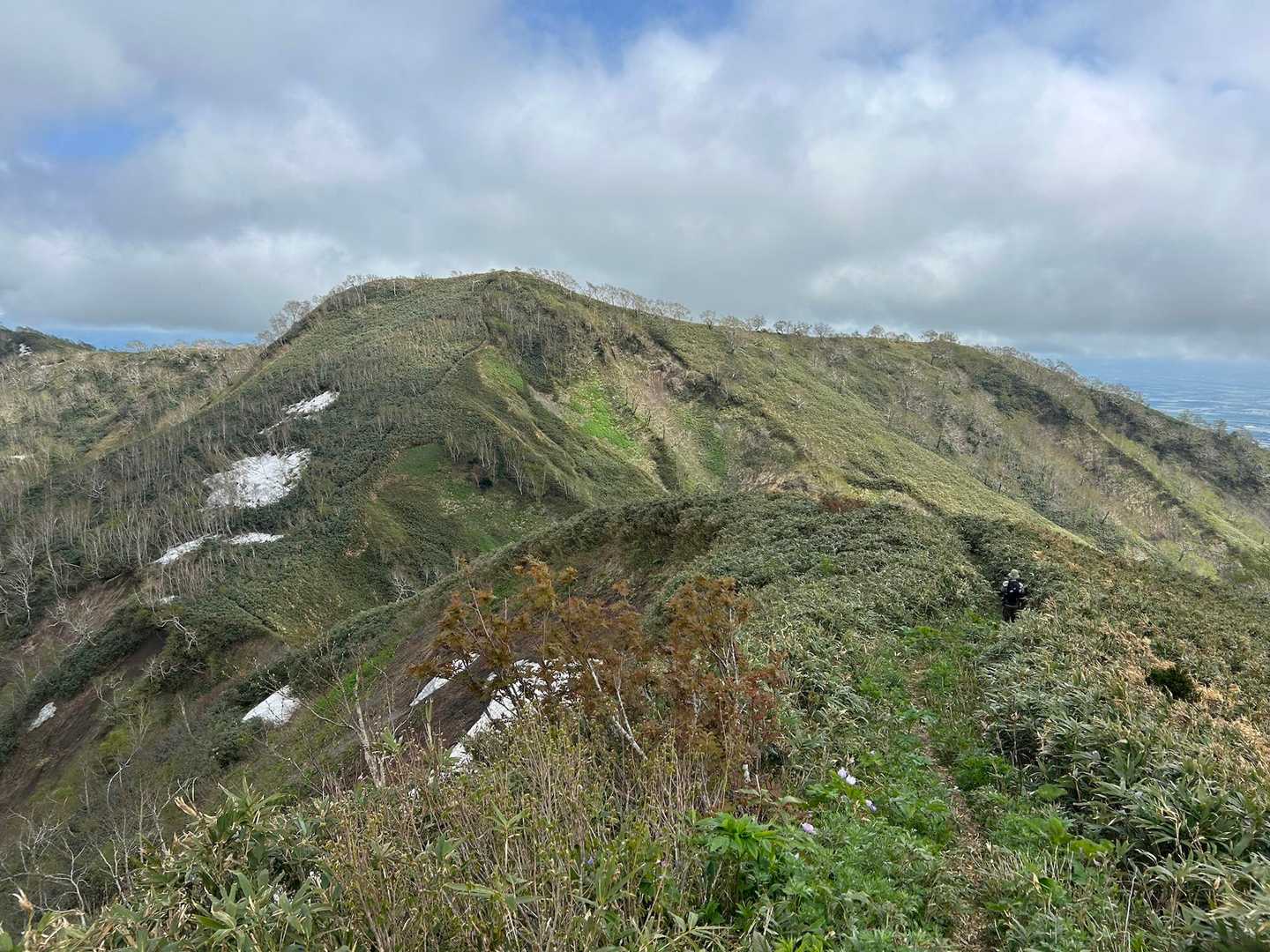 名残惜しいけど下山します〜🥹
樺戸山へ戻る際、少々登り返しあり😁

風もなく、太陽の光も暑くて暑くて、
ソフトクリーム食べたいと騒ぎ出す🍦😂