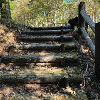 長く感じるトレイルを黙々歩くと
公園？って感じの階段現る