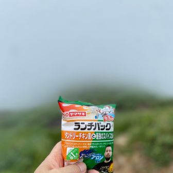 カレー系は合わなかった失敗