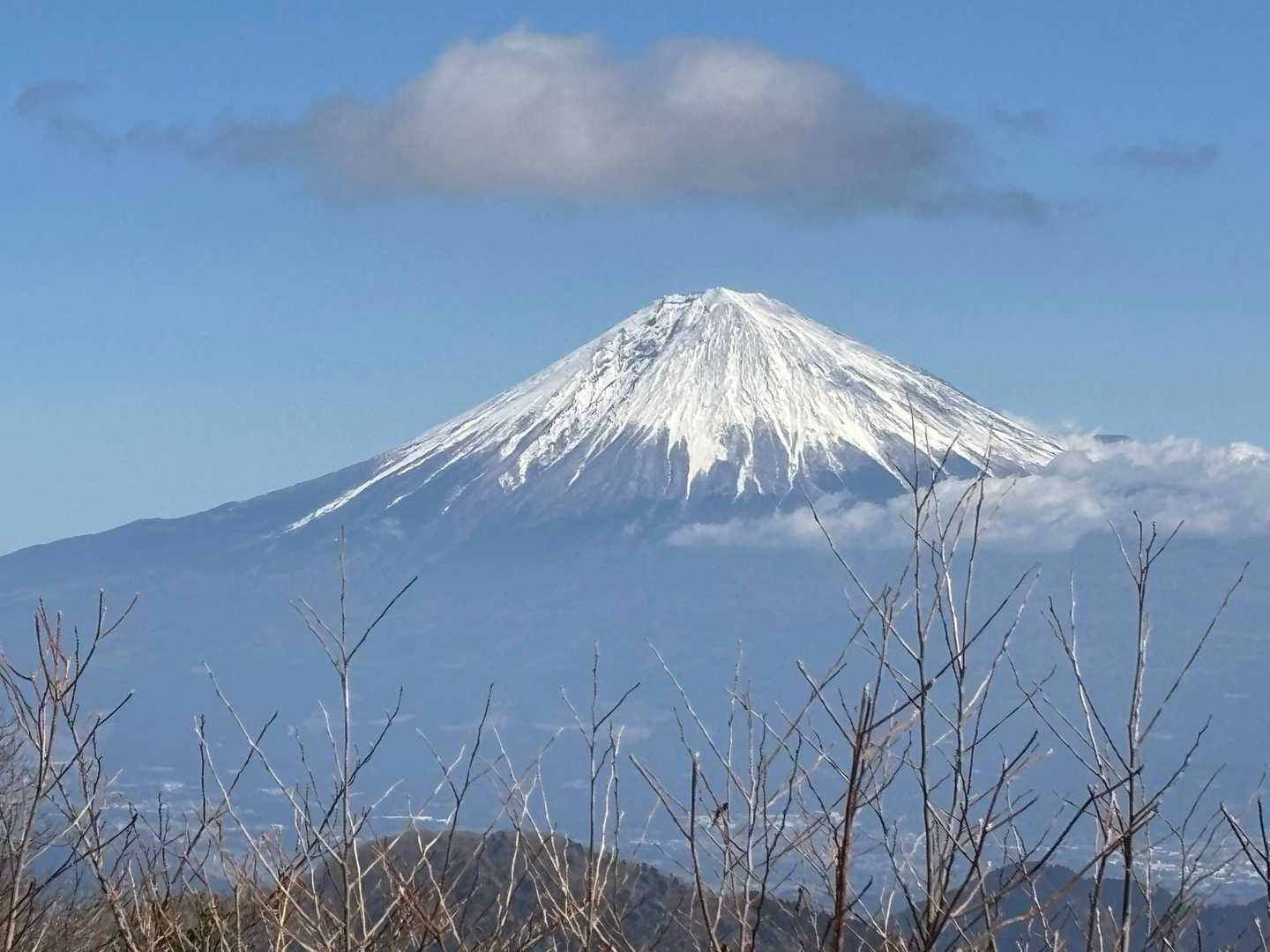 ドーン！
西側には〜
