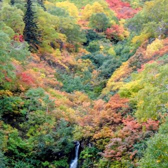 紅葉と滝の景色に圧巻🤩