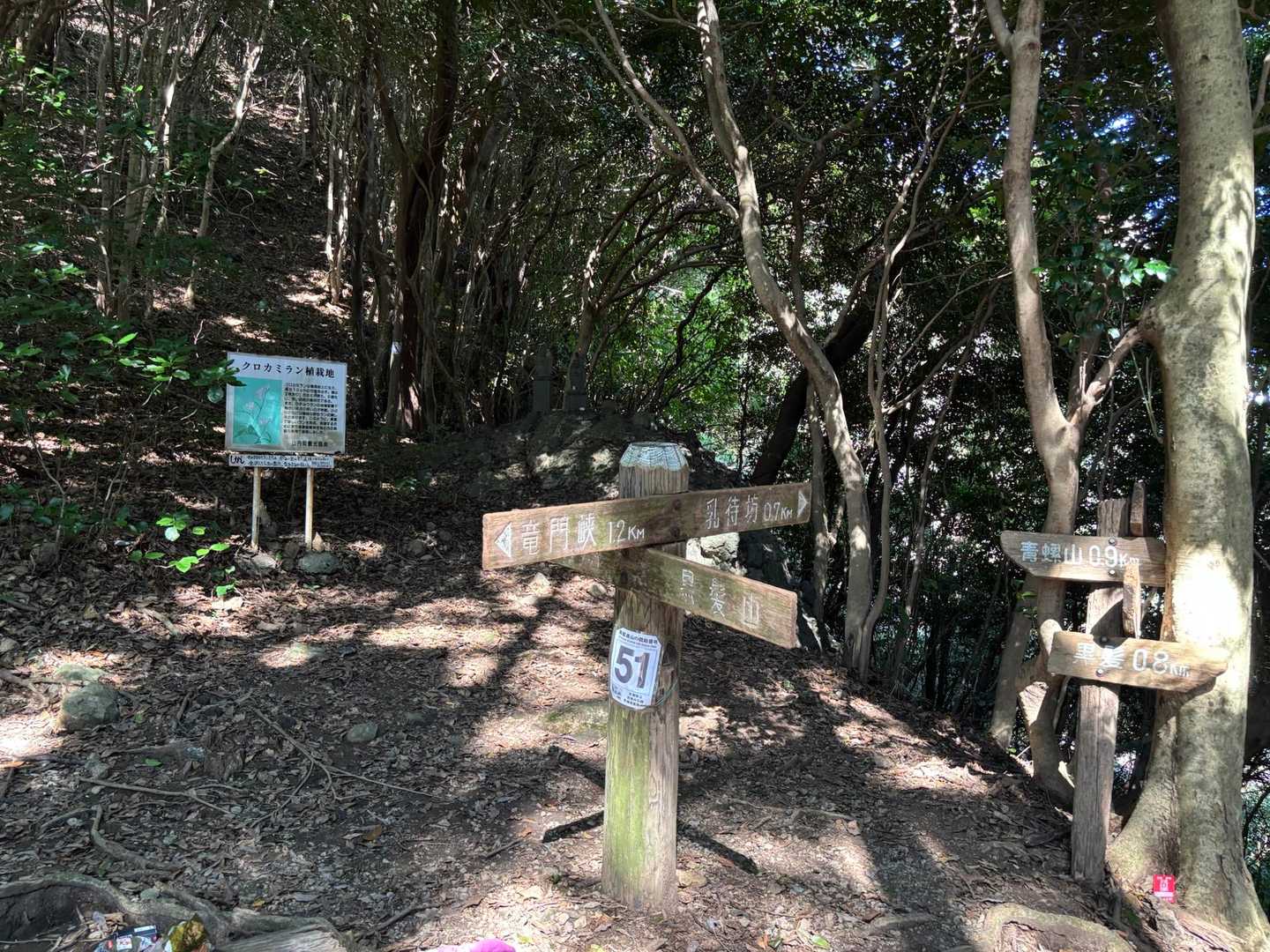登頂後は、急斜面をくだる。これが一番きつかった😫
あとは下るだけ、と思ったらまたのぼる😨
青螺御前だと😳
どーでもいいから、半泣き状態😢🥵😡
そしてやっとやっと、待望の見返峠に出た😍
もう黒髪山まで時間が無く、体力気力ない😖
見返峠で会った地元の山ガールさんから、青螺山は2度と登りたくないきつい山だと、聞かされて、やっぱね。