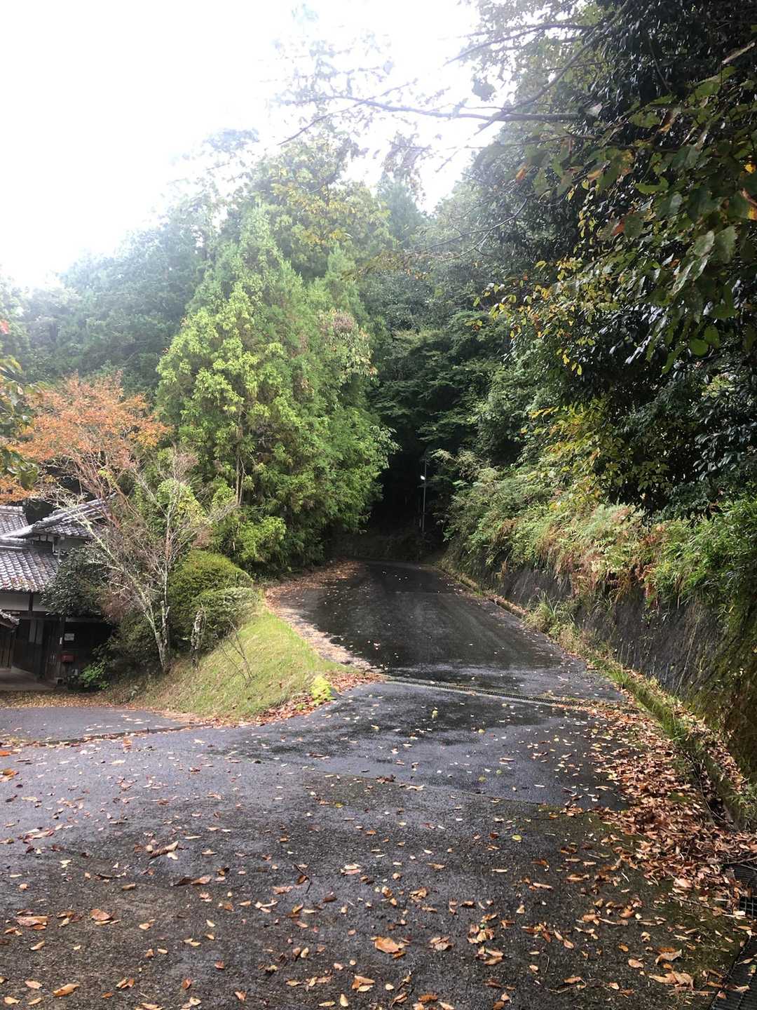 伊那佐山-井足岳 縦走コースの写真