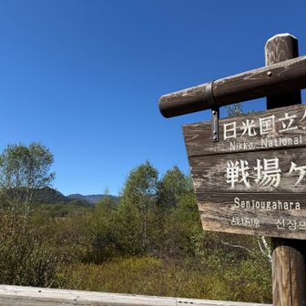 展望台だけ～