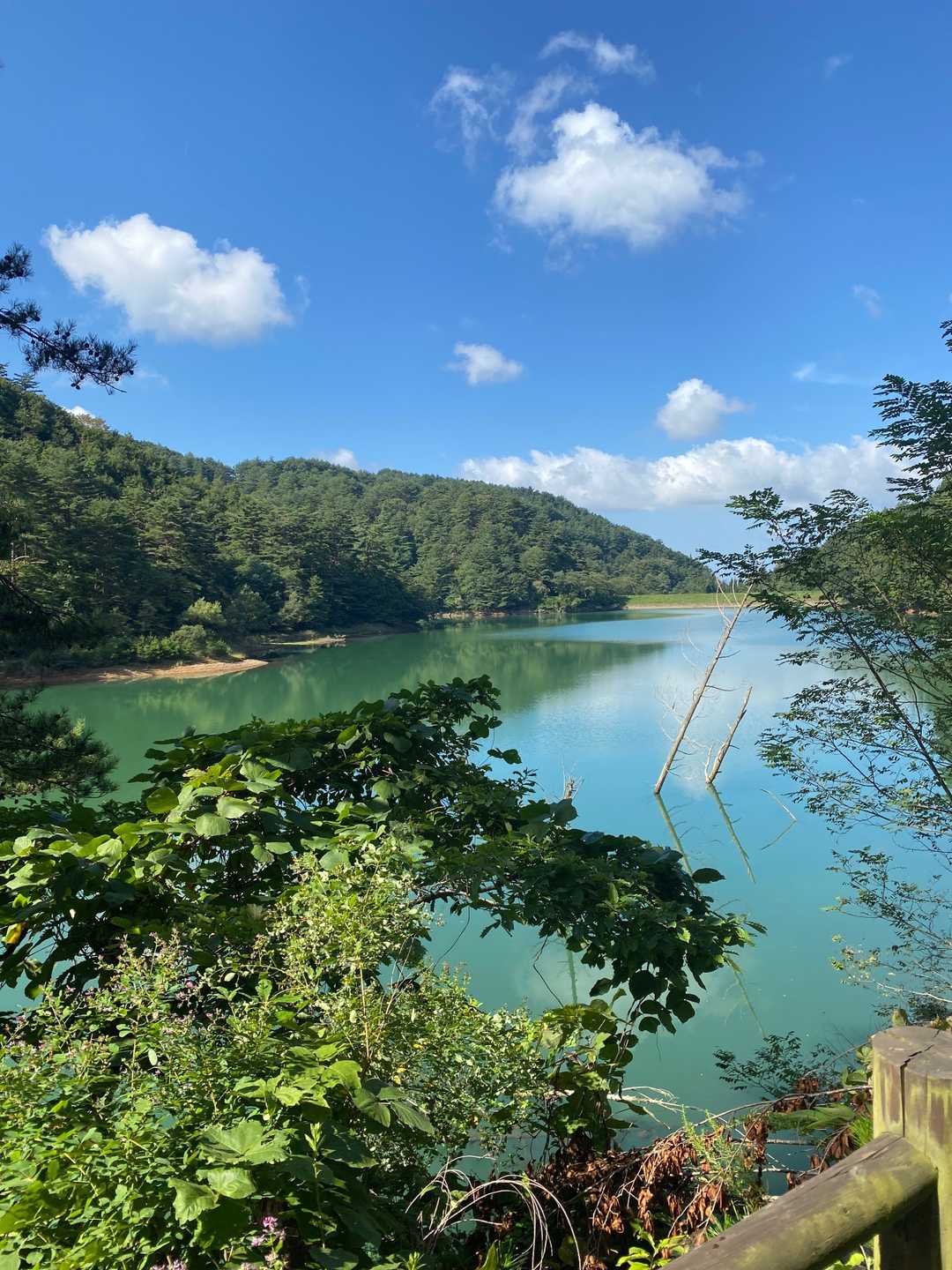 鳳凰山 往復コースの写真