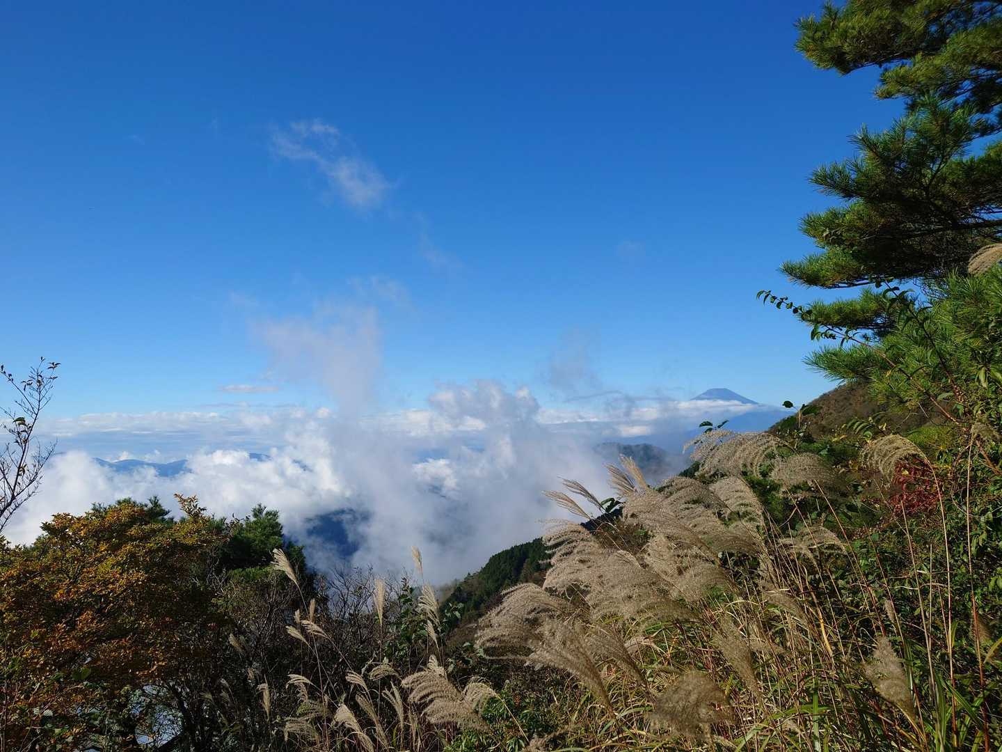 塔ノ岳大倉尾根コースの写真