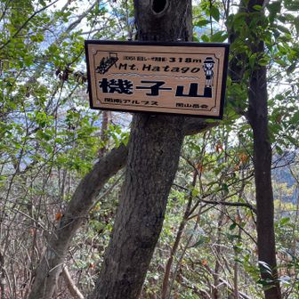 はたごやまと読みます、変換しません