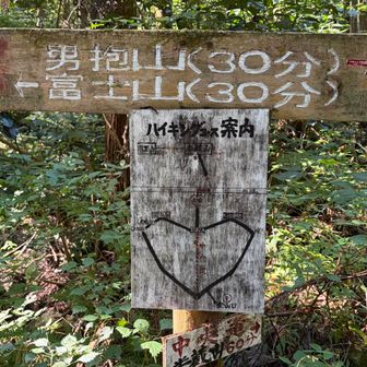 ルートがハートになってる😍