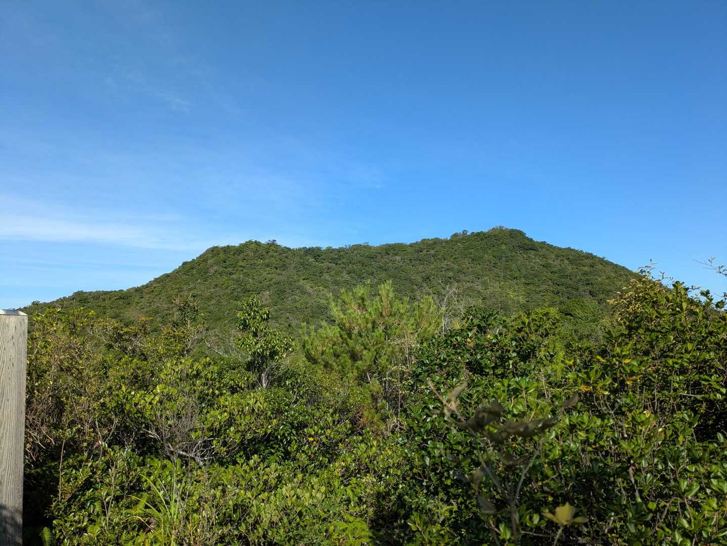 三草山 往復コースの写真