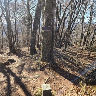 少し先に精進山