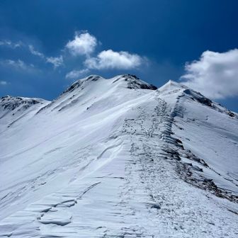 更に登る💦
やっと山頂が見えてきました！！！
