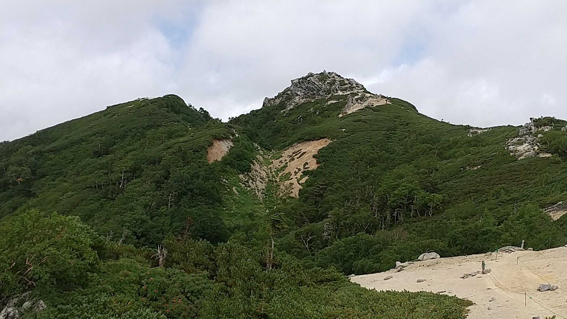 ニセ烏帽子が近づいてきた！
ニセ烏帽子って…ねぇ😅💦