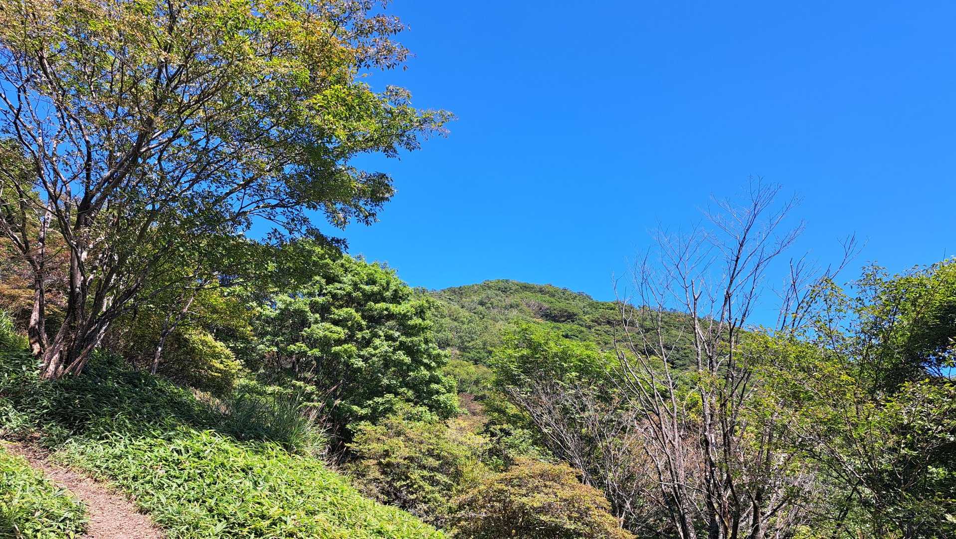 秋空の山頂方面。
