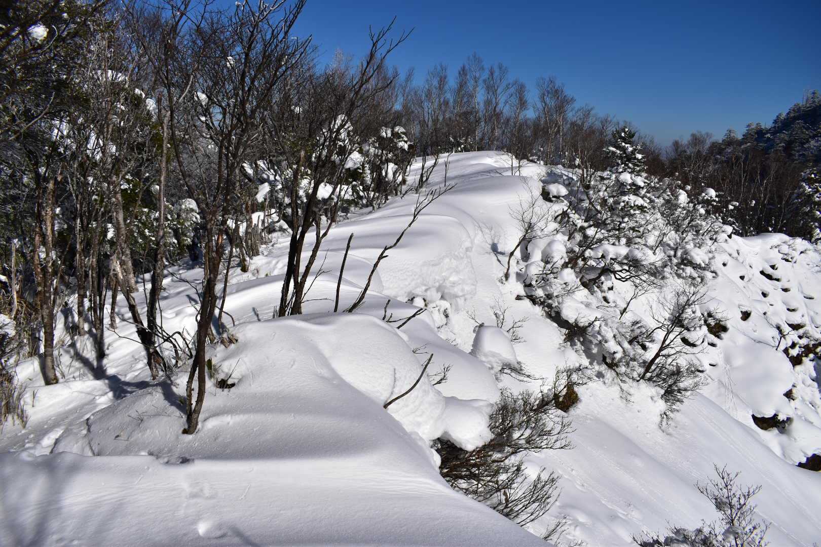 別の道から下山します♬