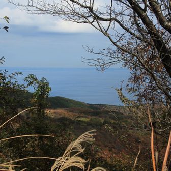 木々の隙間から辛うじて海が見えます。