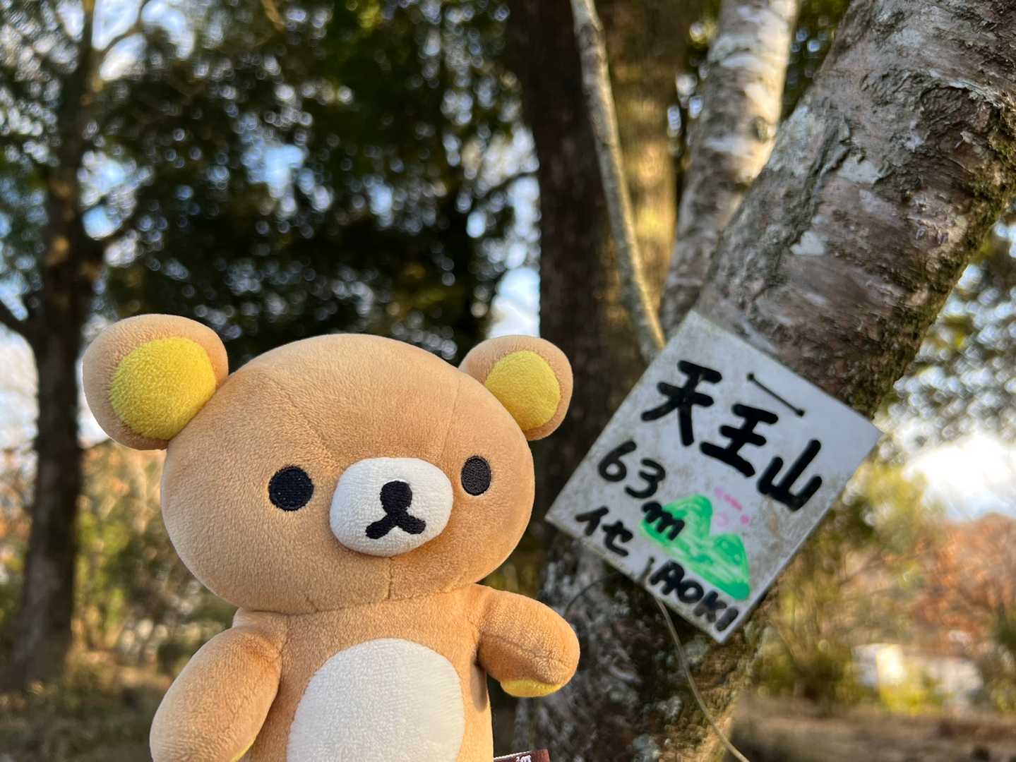 三角点じゃないみたい。