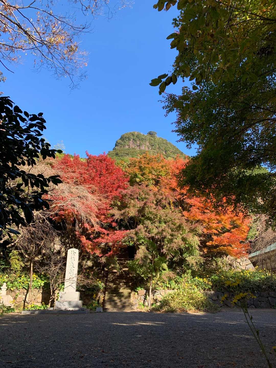 青空🟦と紅葉🍁と冠岳⛰️
本堂にもちょっと寄ってみようかなぁ〜👀