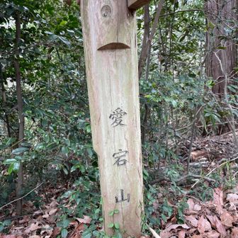 道の脇にあった