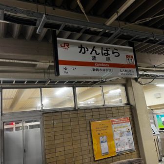 🪧「JR蒲原駅」

疲れはピークに達してるし、明日は雨だし
うぅむ、ここが潮時で戻れということじゃな

🥸｢ここを最終目的地とする！」