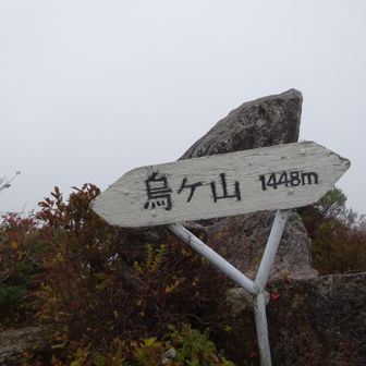 烏ヶ山の山頂、バックは真っ白です。