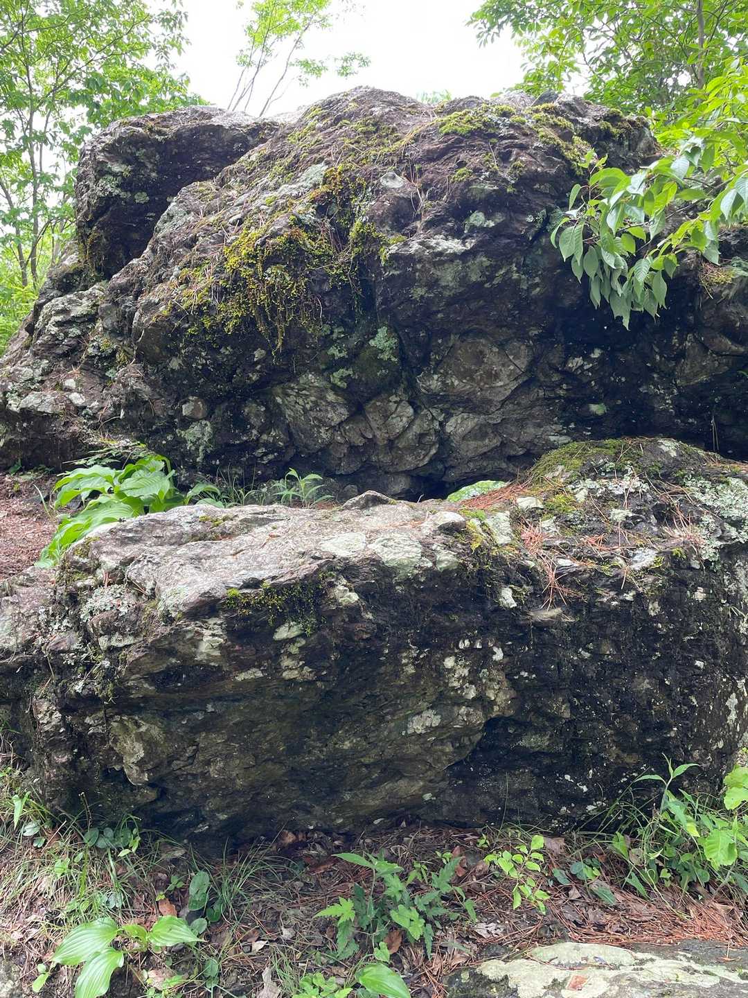 磁石岩。引っ付くらしい🧲
