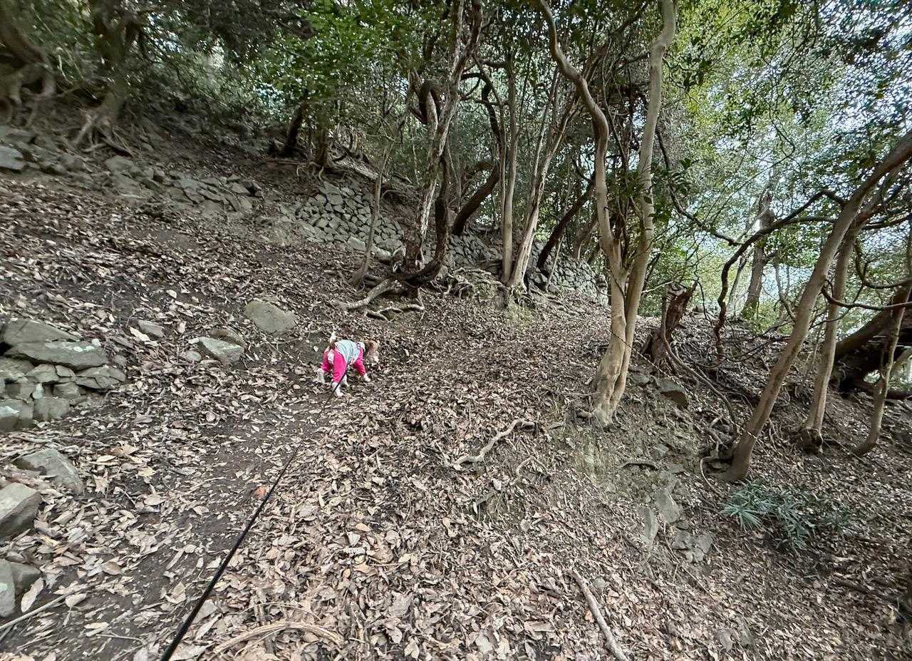 2ヶ所目で 少しキツイ