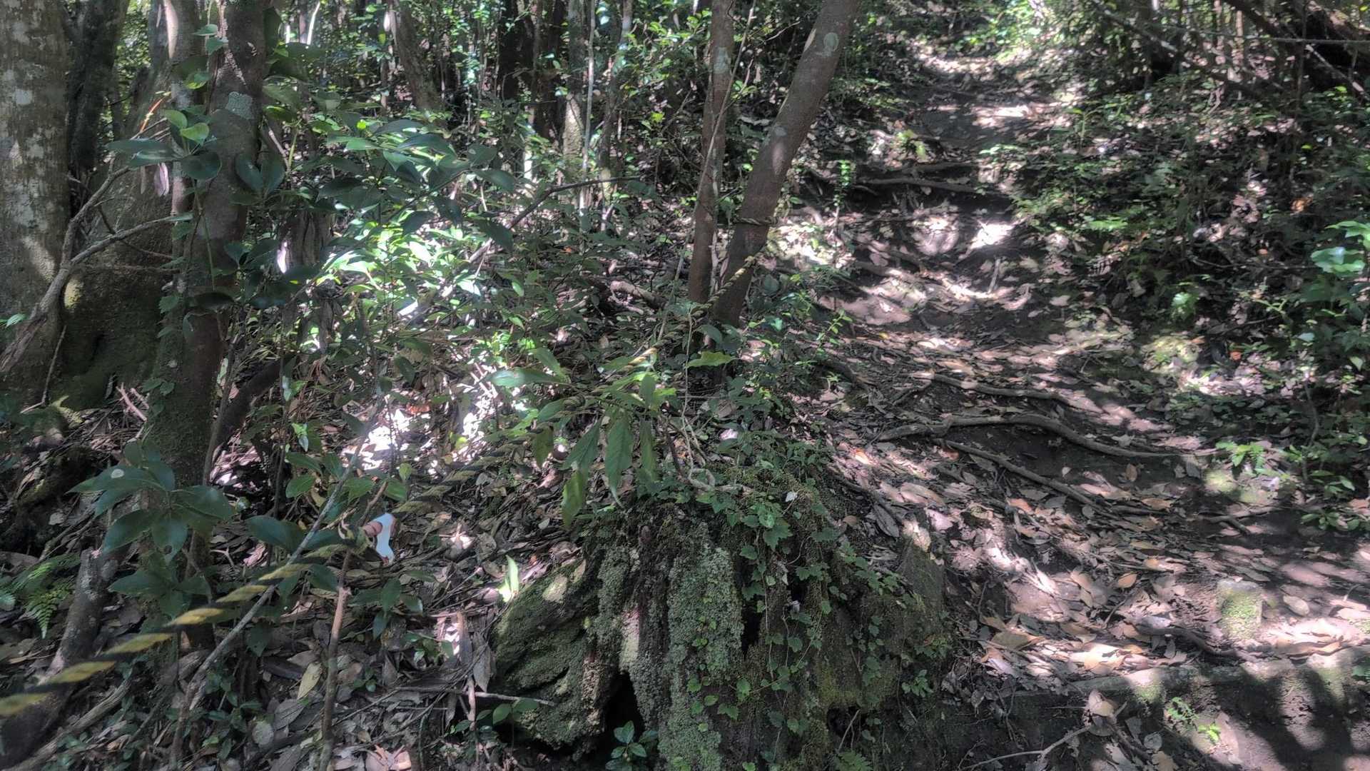 ロ―プ場が２ヶ所有ります。