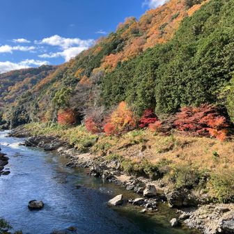 トロッコ保津峡駅より1