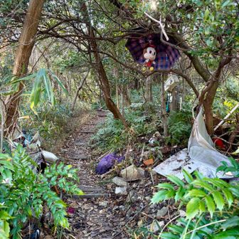 放置されたミニーちゃん🐹の横を通りました。ゴミもいっぱい捨ててありました( ˘•ω•˘ ).｡oஇ